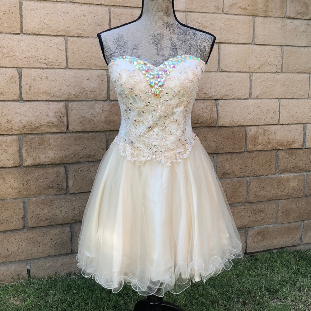 Homecoming/Prom/Party Dress